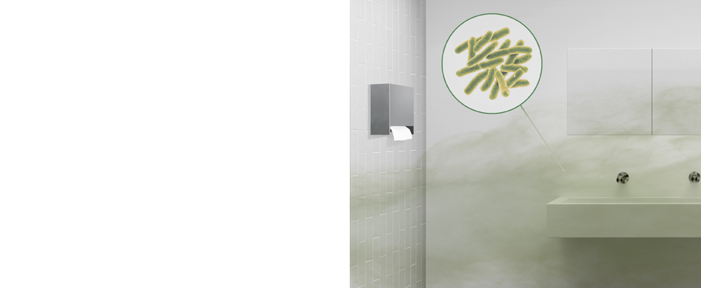 Bakterijos prausykloje